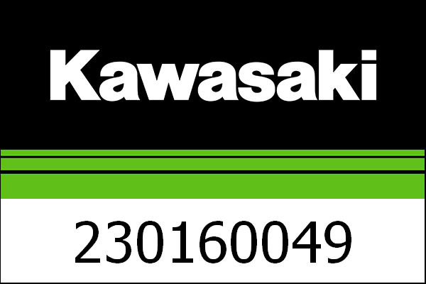 Kawasaki / カワサキ ランプ-アッシー-FI ワーニング | 230160049