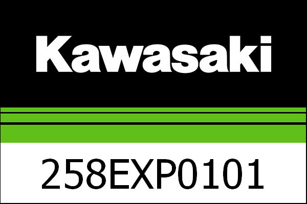 Kawasaki / カワサキ エグゾースト カーボン Z900 20MY | 258EXP0101|ワンダーテック