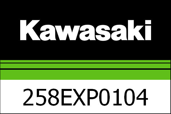 Kawasaki / カワサキ エグゾースト カーボン ZX-10R EU | 258EXP0104
