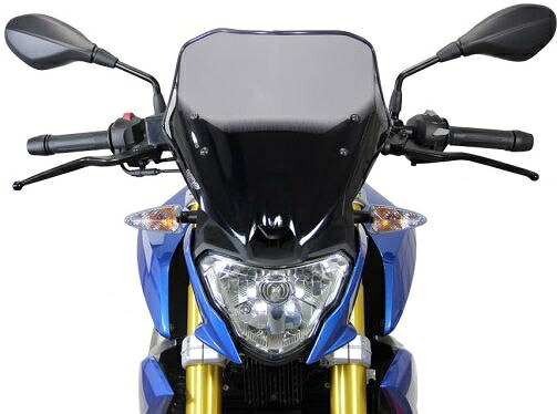 MRA / エムアールエー ROADSTER G 310 R - Racing windscreen \
