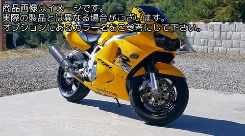 Powerbronze / パワーブロンズ ヘッドライトプロテクター フロストステルスグレー HONDA CBR900RR 98-99 | 440-H117-019｜ワンダーテック