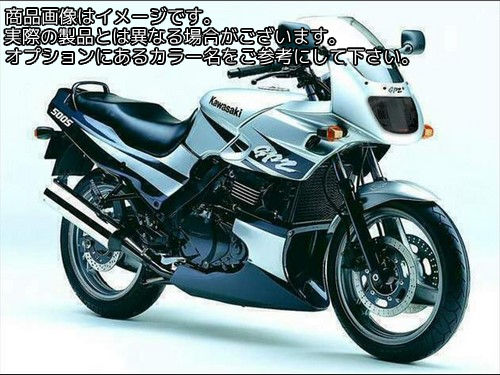 Powerbronze / パワーブロンズ ヘッドライト プロテクター KAWASAKI GPZ500S 94-03 ライト ティント | 440-K056-001