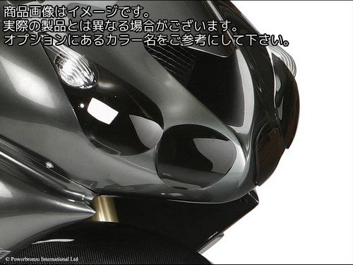 Powerbronze / パワーブロンズ ヘッドライト プロテクター KAWASAKI ZZR1400 06-11 LOCKS) | 440-K448-008