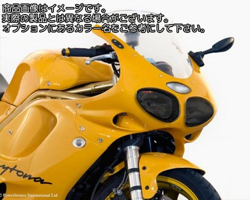 Powerbronze / パワーブロンズ ヘッドライトプロテクター フロストステルスグレー TRIUMPH DAYTONA T595 DAYTONA T955I -00 | 440-T088-019｜ワンダーテック