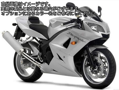 Powerbronze / パワーブロンズ スタンダード スクリーン TRIUMPH DAYTONA 600 03-05 ダーク ティント | 410-T102-002|ワンダーテック