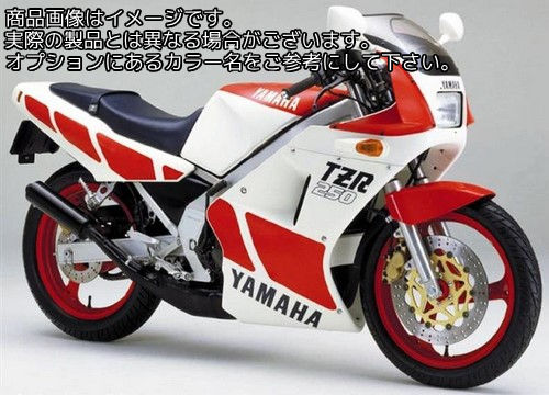 Powerbronze / パワーブロンズ スタンダード スクリーン YAMAHA TZR250 87-97 ライト ティント | 410-Y104-001