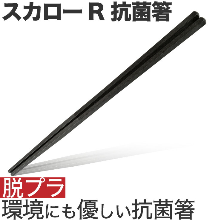 スカローR　箸　100膳セット