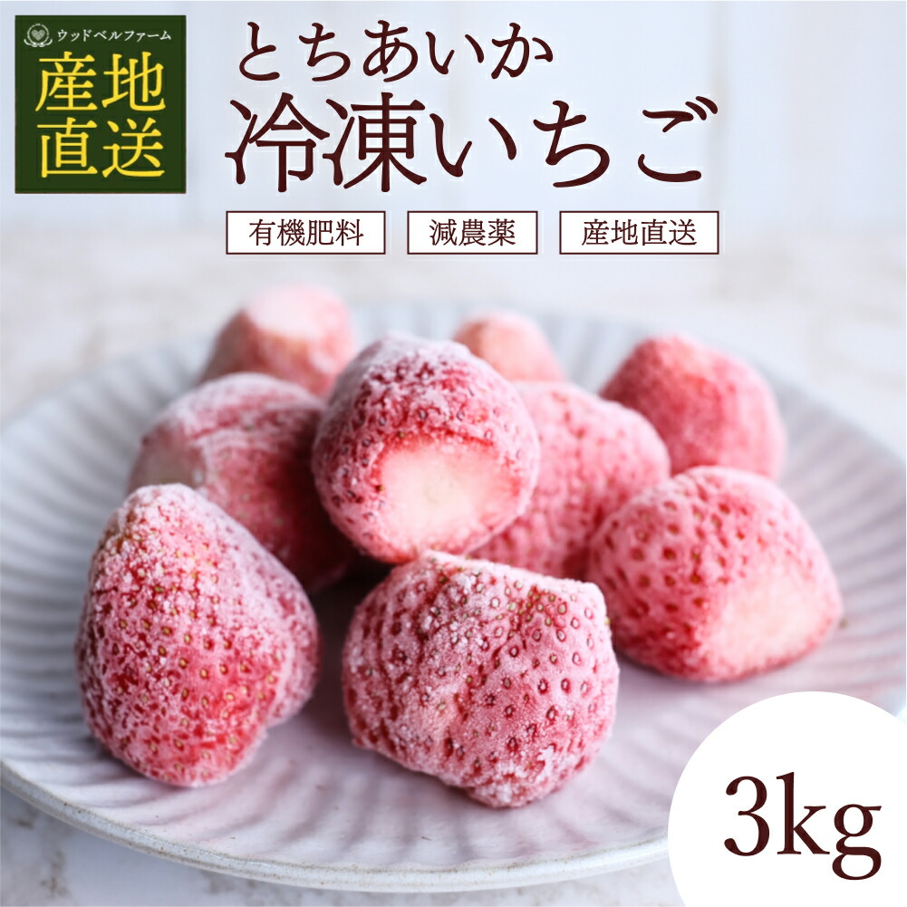 とちあいか 冷凍いちご 3kg 国産 冷凍イチゴ 冷凍苺 栃木 いちご 苺 イチゴ 3キロ ストロベリー 冷凍 冷凍フルーツ 冷凍果物 糖度 甘い itigo ichigo 美味しい 父の日 苺ギフト 農家 直送 産地直送 栃木県 果物 大量 大容量 業務用 家庭用 内祝い プレゼント ギフト 贈答