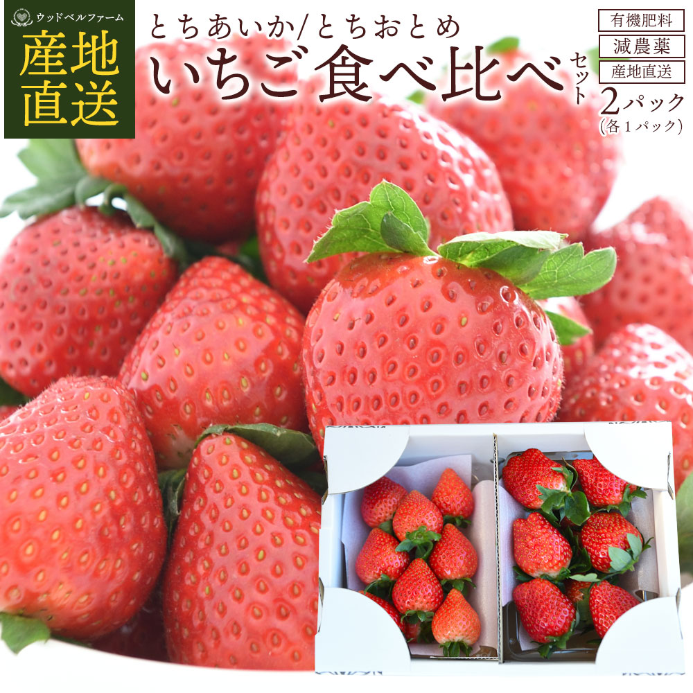 【楽天市場】いちご とちあいか 徳用 1.4kg (サイズMIX) 苺 イチゴ 
