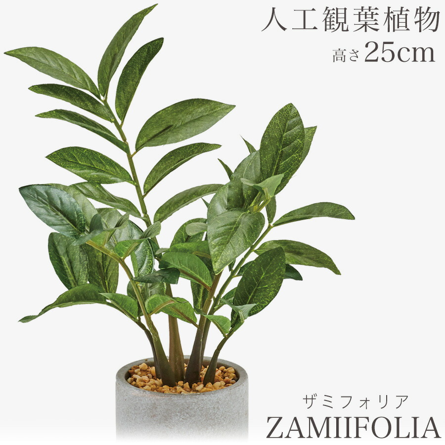 楽天市場】人工観葉植物 観葉植物 造花 フェイク フェイクグリーン