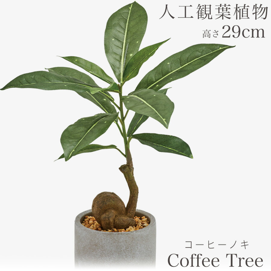 楽天市場】人工観葉植物 観葉植物 造花 フェイク フェイクグリーン 