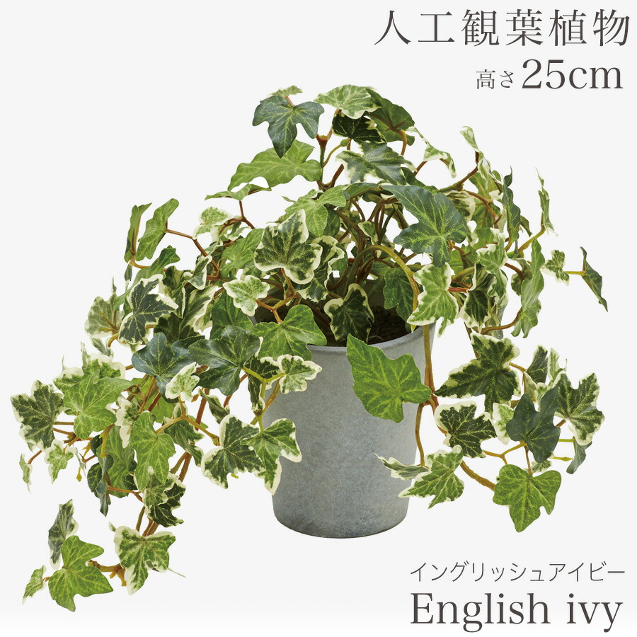 楽天市場】人工観葉植物 観葉植物 造花 フェイク フェイクグリーン 