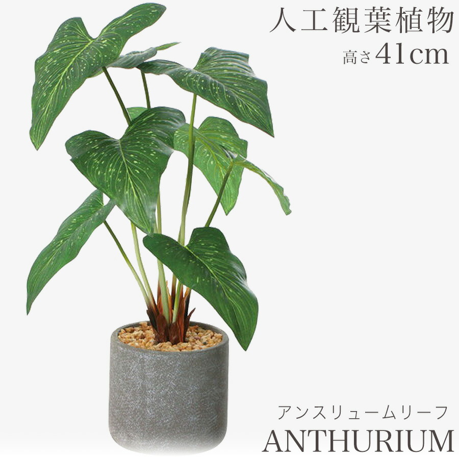 楽天市場】【ディスプレイ台+人工観葉植物】 観葉植物 造花