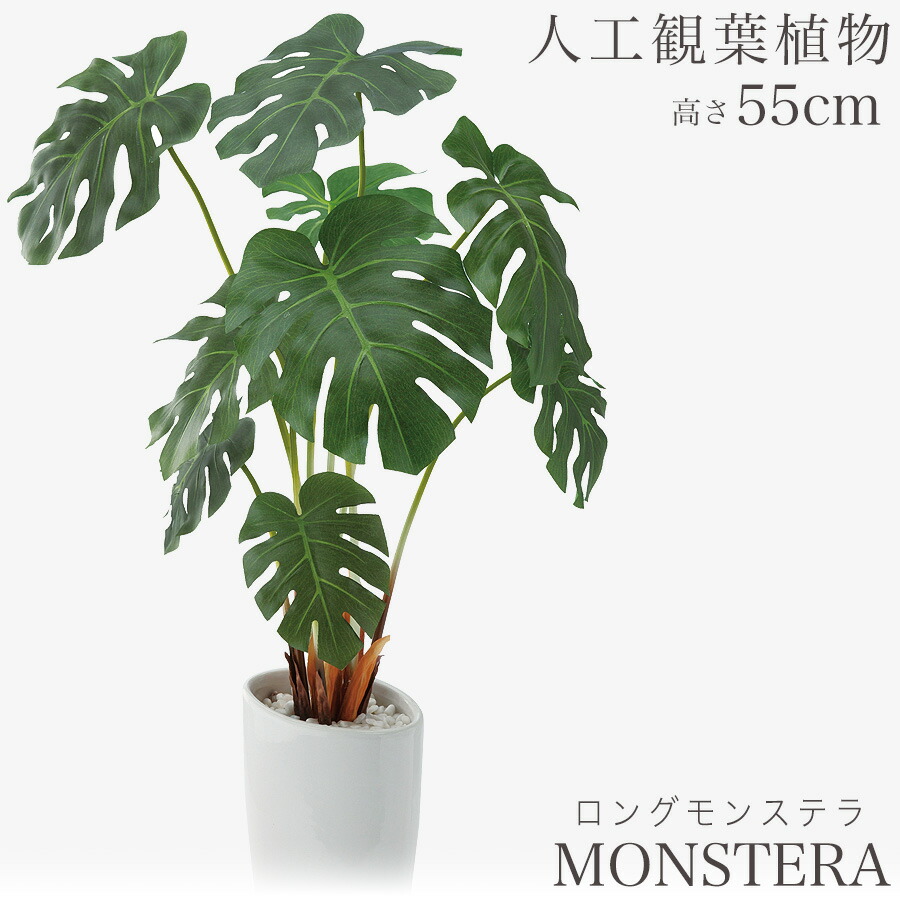 楽天市場】人工観葉植物 観葉植物 造花 フェイク フェイクグリーン 