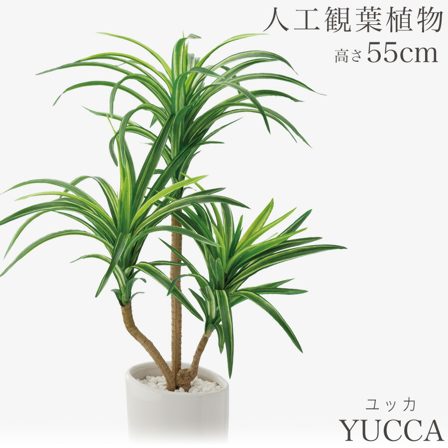 楽天市場】人工観葉植物 観葉植物 造花 フェイク フェイクグリーン