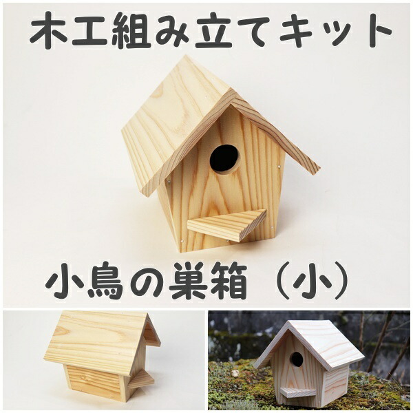 手作り仕立て上げる一揃いの道具 飛禽の鳥小屋（小）かなづちで組み立て 岡山県産 夏休み仕立て上げる 大工仕事 醇乎たるの木 杉 国産 大工仕事教場 小学生  御姉さん 親しさ練習曲 釘も仕掛ける 親子で作る 気取らないの木