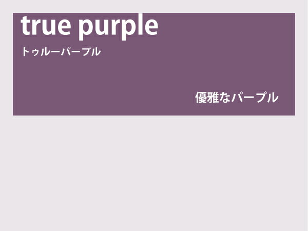 アーレンレンズ 1組 未使用 未加工 紫 パープル 特注 度なしレンズ　光過敏 アーレンレンズ 1組 未使用 未加工 紫 パープル 特注 度なしレンズ 光