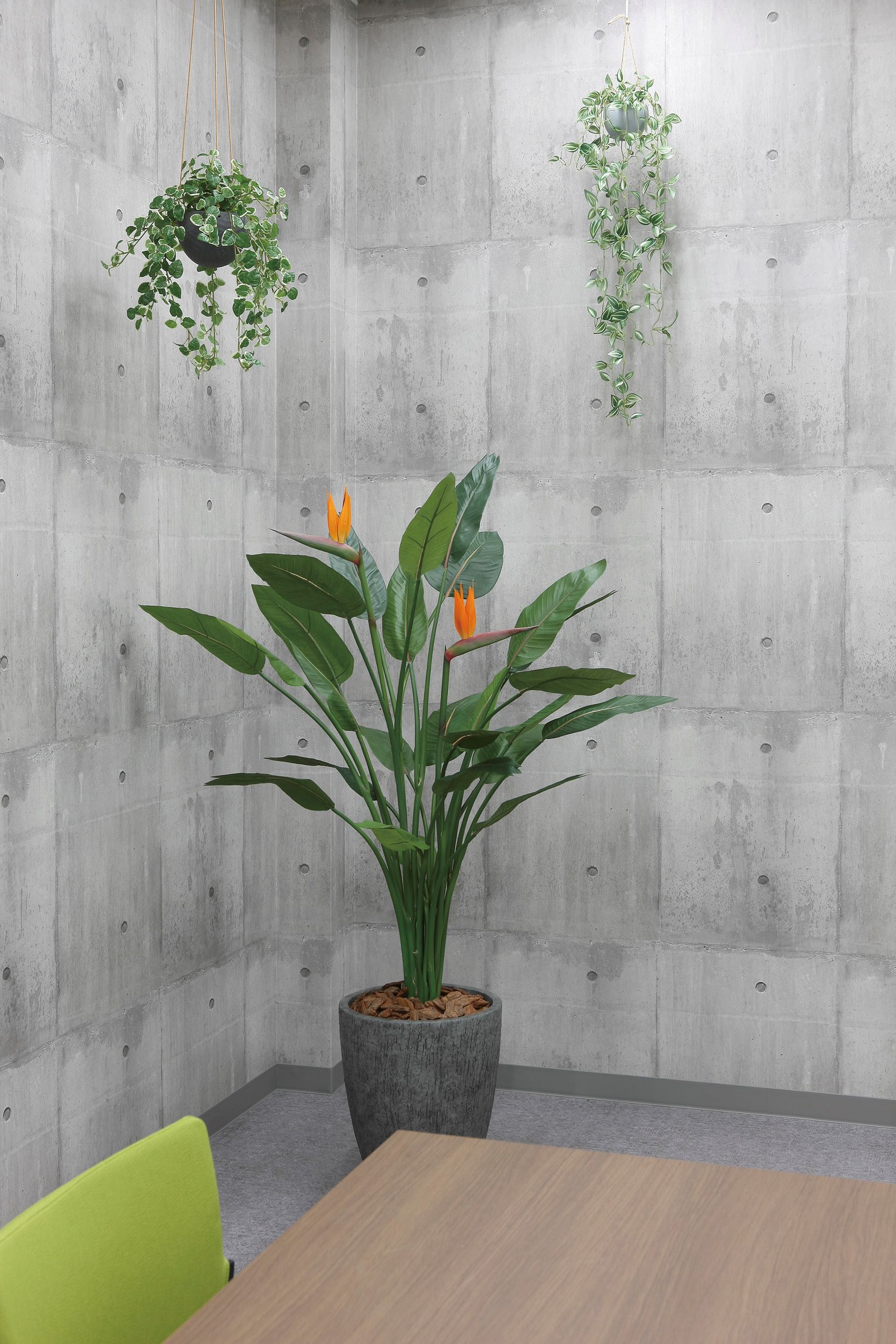 造花人工観葉植物　光の楽園ナチュラルストレチア1.7ｍ　2025年度新商