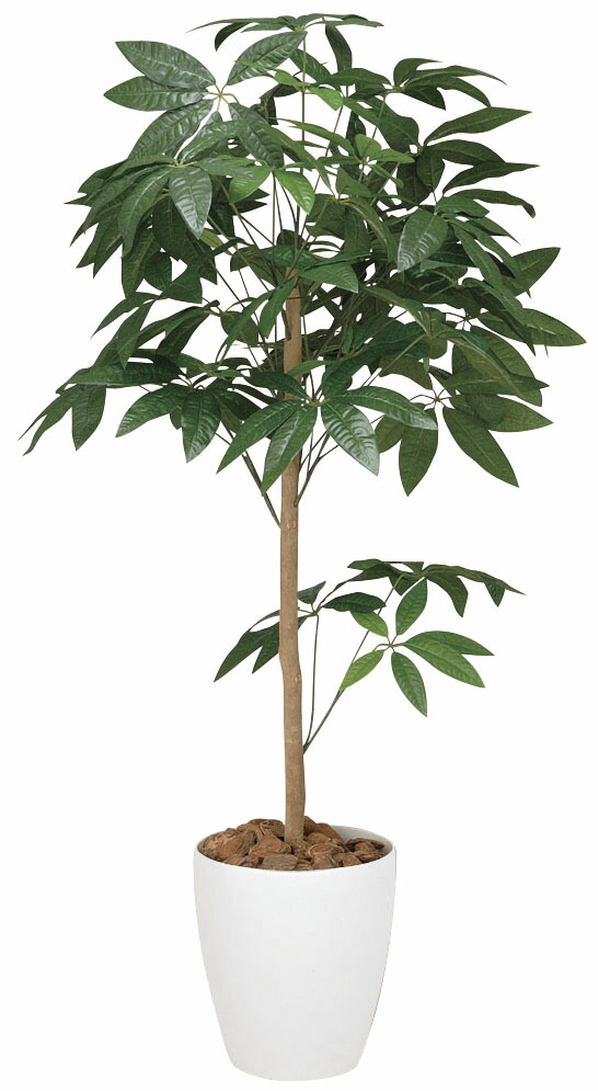 フェイクグリーン 観葉植物 フェイク 人工観葉植物 光触媒 造花 インテリア リアル おしゃれ お祝い 樹 木 室内 人気 空気清浄 玄関 リビング オフィス 部屋 シンプル 抗菌 消臭 観葉樹 パキラ ピアリー 1.2?｜造花の専門店 きつつき