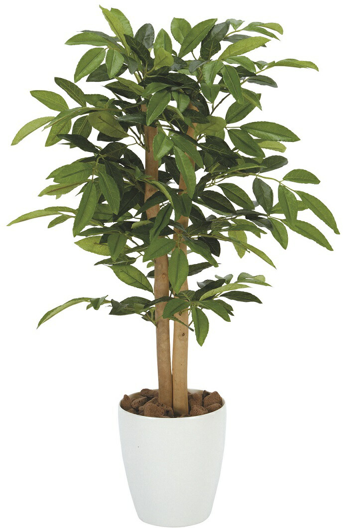 フェイクグリーン 観葉植物 フェイク 人工観葉植物 光触媒 造花 インテリア リアル おしゃれ お祝い 樹 木 室内 人気 空気清浄 玄関 リビング オフィス 部屋 シンプル 抗菌 消臭 観葉樹 アンデルシア（万両）90｜造花の専門店 きつつき