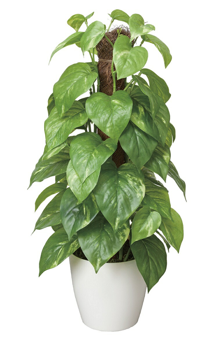 フェイクグリーン 観葉植物 フェイク 人工観葉植物 光触媒 造花 インテリア リアル おしゃれ お祝い 樹 木 室内 人気 空気清浄 玄関 リビング オフィス 部屋 シンプル 抗菌 消臭 観葉樹 フレッシュポールポトス（382k60）