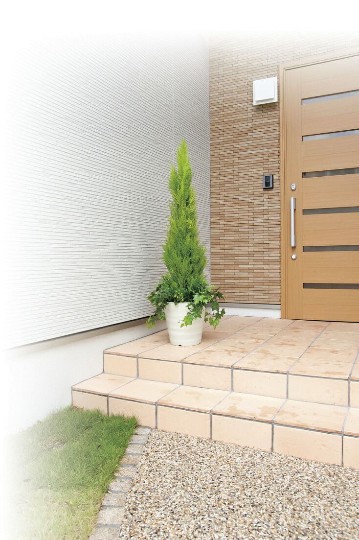 楽天市場】フェイクグリーン 観葉植物 フェイク 人工観葉植物 光触媒