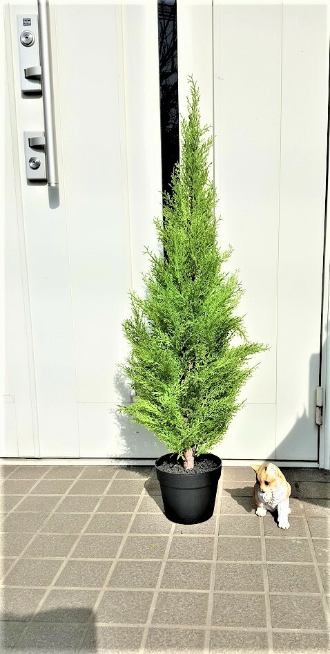 人工観葉植物ゴールドクレスト高さ90m送料無料屋外使用可最安値に挑戦新品|造花の専門店 きつつき