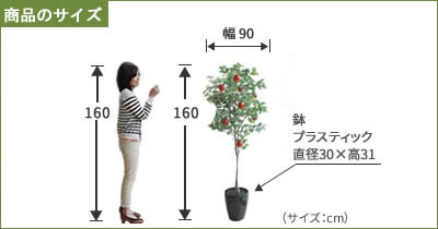 楽天市場 光触媒 人工観葉植物 光の楽園 フェイク りんご リンゴの木 180cm 光触媒 お祝い お花 造花の専門店 きつつき