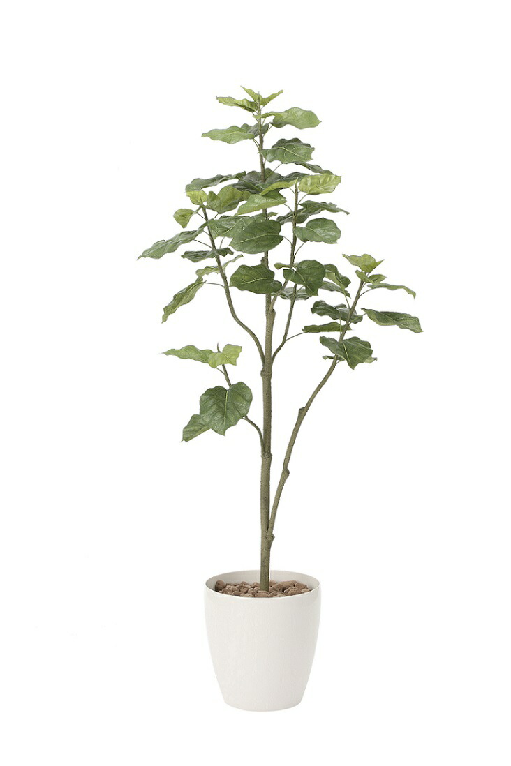 ウンベラ タ 光の楽園 光触媒 人工観葉植物 人工観葉植物 造花 1 8 ツリ 光の楽園 人工観葉植物 送料無料 人工観葉植物 1 8ｍ フェイクグリーン 光触媒加工 消臭 代引き不可 造花の専門店 きつつき