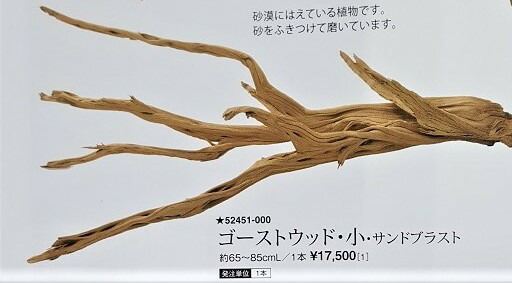 最安値特売 デイスプレイ 砂漠の枝 生木 ゴールドウッド 流木 送料無料 代引き不可 85cm 造花の専門店 きつつき 激安販売中 Blog Homolog Anageimoveis Com Br 最安値特売 デイスプレイ 砂漠の枝 生木 ゴールドウッド 流木 送料無料 代引き不可 85cm 造花の専門店 きつつき 激安販売中 Blog Homolog Anageimoveis Com Br