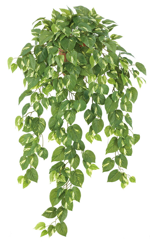グリーン壁掛け 造花 人工観葉植物 プラ鉢付 ポトス壁掛け　送料無料