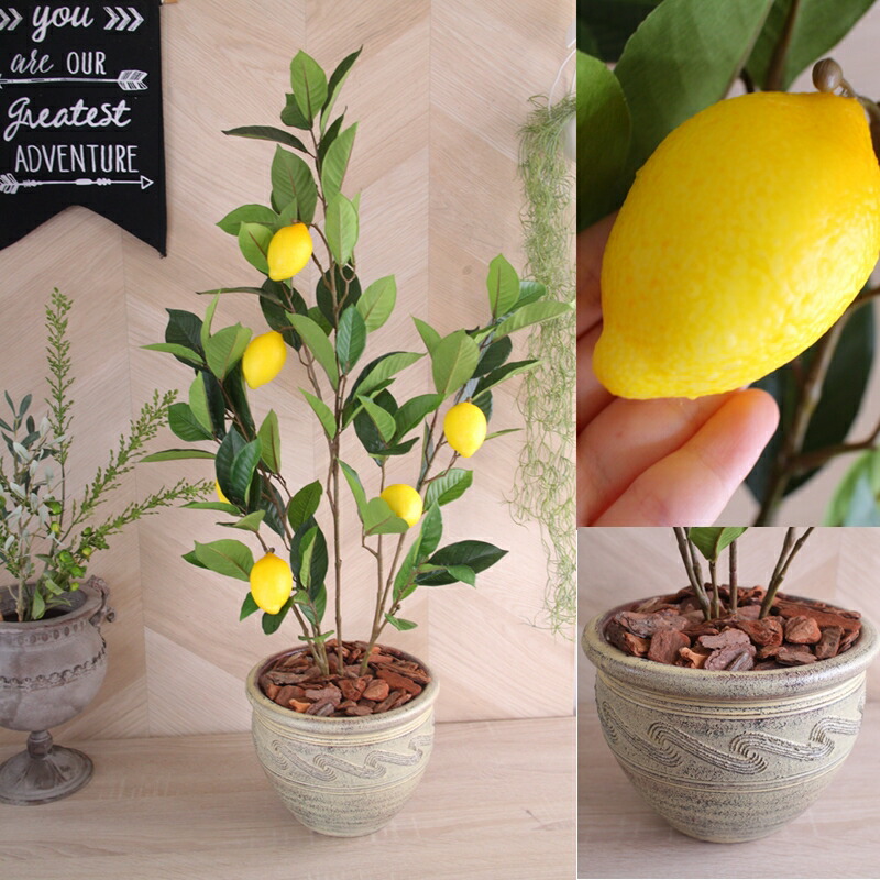 楽天市場 人工観葉植物 レモンの木 レモンツリー 触媒加工 送料無料 90ｃｍ 造花の専門店 きつつき