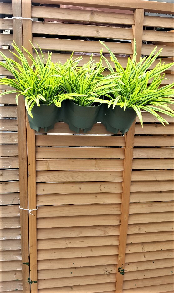 楽天市場 人工観葉植物 壁面緑化 屋外使用可 壁掛けプランター 送料無料 3柄よりお選び下さい 軽量簡単設置 造花の専門店 きつつき