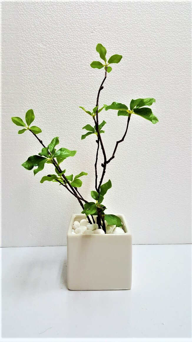 楽天市場 人工観葉植物 ドウダンツツジアレンジ テーブルグリーン 送料無料 触媒加工品 造花の専門店 きつつき