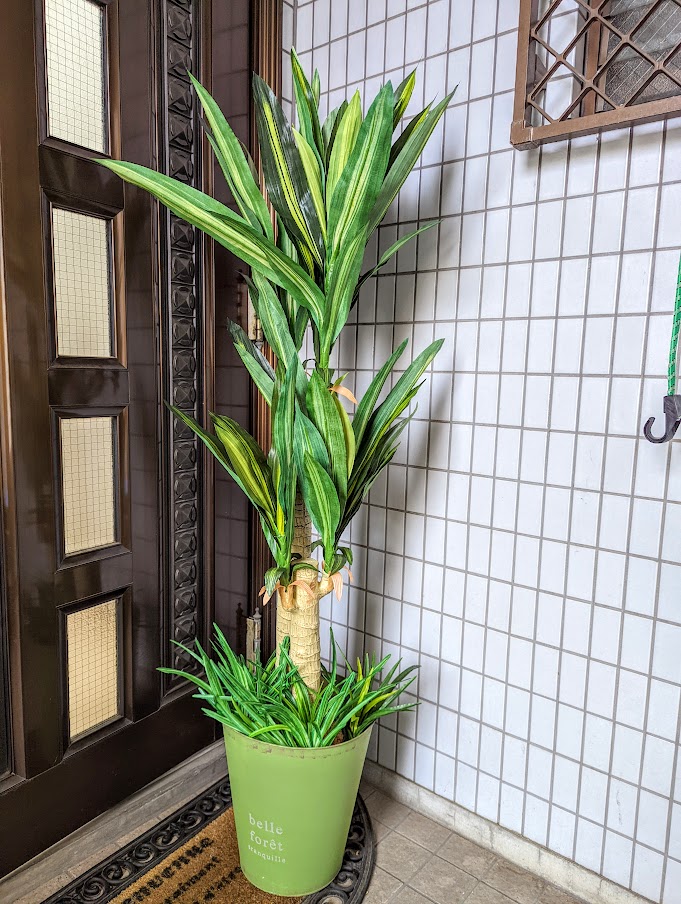 楽天市場】斑入りドラセナ 造花観葉植物 高さ約90cm幅約40cm 楽天市場】斑入りドラセナ 造花観葉植物 高さ約90cm幅約40cm