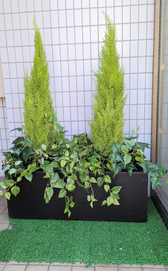 フェイクグリーン 人工観葉植物 ゴールドクレストプランター 2本立て 屋外使用可 送料無料 フェイク プランター 綺麗 本物そっくり インテリア インテリアグリーン オシャレ カフェ ディスプレイ 店舗|造花の専門店 きつつき