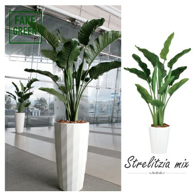 ストレリチア　オーガスタMIX　高さ170ｃｍ　人工観葉植物｜造花の専門店 きつつき