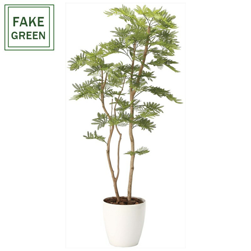 フェイクグリーン 観葉植物 フェイク 人工観葉植物 光触媒 造花 インテリア リアル おしゃれ お祝い 樹 木 室内 人気 空気清浄 玄関 リビング オフィス 部屋 シンプル 抗菌 消臭 観葉樹 ねむの木 1.8m (2106a460)|造花の専門店 きつつき