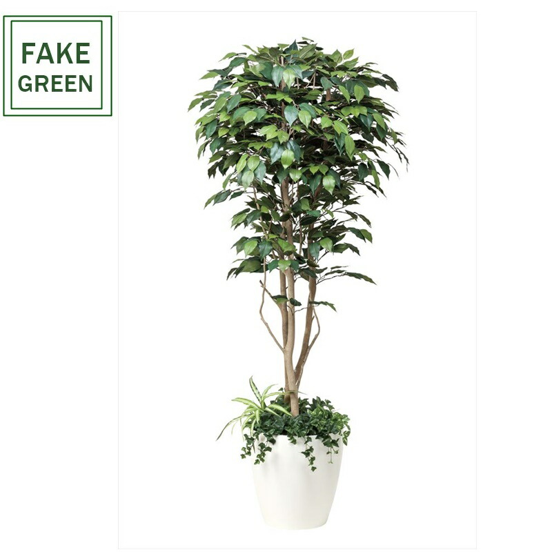 フェイクグリーン 観葉植物 フェイク 人工観葉植物 光触媒 造花 インテリア リアル 玄関 リビング オフィス 部屋 シンプル 抗菌 消臭 観葉樹 　フィカスベンジャミン（植栽付）1.8ｍ　(508f500)｜造花の専門店 きつつき