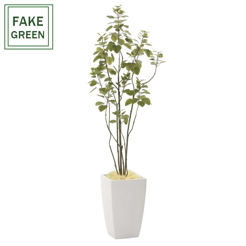 楽天市場】光触媒観葉植物 アーバンブランチツリー1.8 〔フロアタイプ