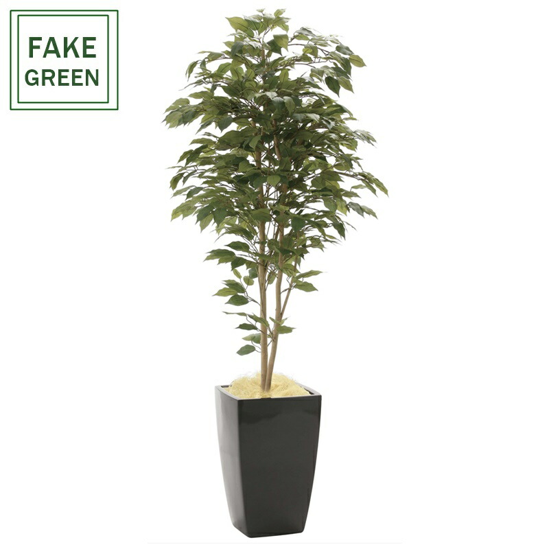 フェイクグリーン 観葉植物 フェイク 人工観葉植物 光触媒 造花 インテリア リアル おしゃれ お祝い 樹 木 室内 人気 空気清浄 玄関 リビング オフィス 部屋 シンプル 抗菌 消臭 観葉樹 アーバンベンジャミン 1.8ｍ (946k650)