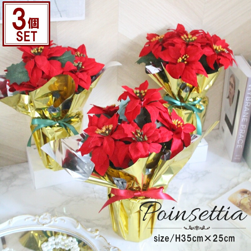 楽天市場】最安値に挑戦/クリスマス/ポインセチア/送料無料