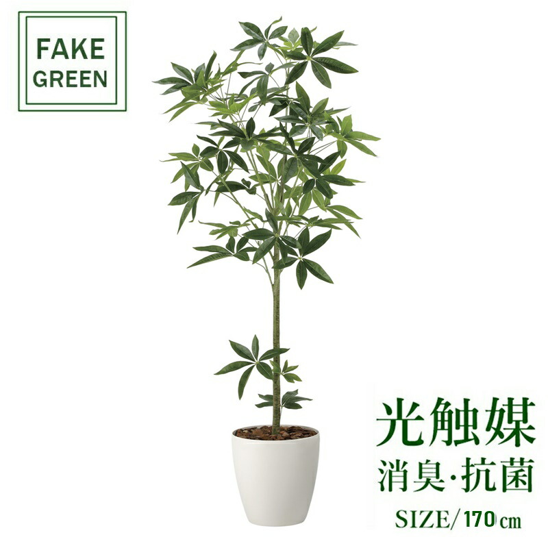 楽天市場】フェイクグリーン 観葉植物 フェイク 人工観葉植物 光触媒