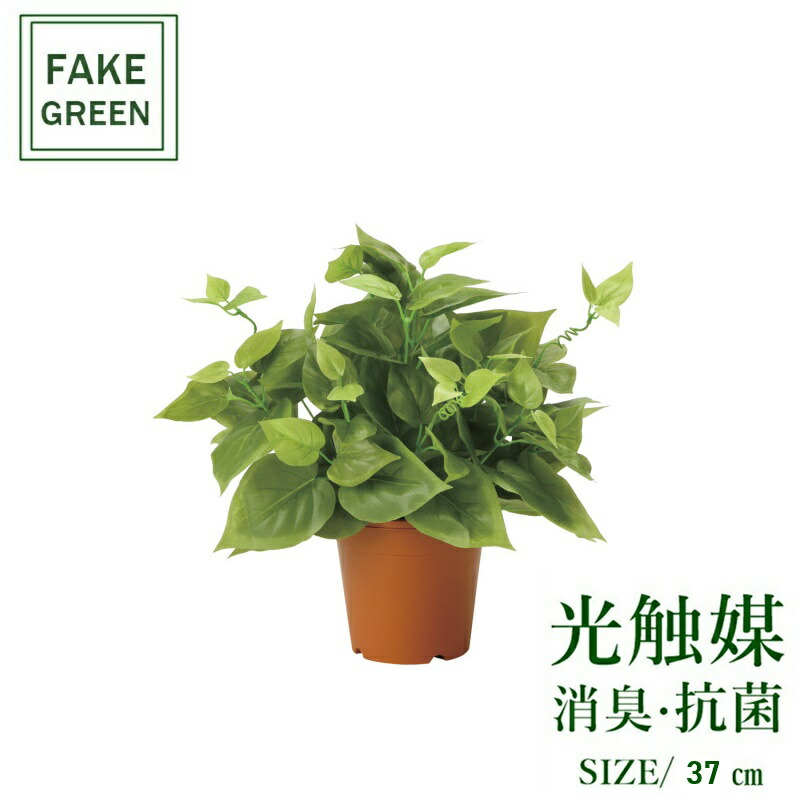 フェイクグリーン 観葉植物 フェイク 人工観葉植物 光触媒 造花 インテリア リアル おしゃれ お祝い 樹 木 室内 人気 空気清浄 玄関 リビング オフィス 部屋 シンプル 抗菌 消臭 観葉樹 ライムポトス 2346a50