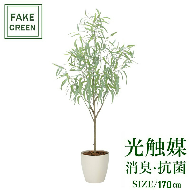 フェイクグリーン 観葉植物 フェイク 人工観葉植物 光触媒 造花 インテリア リアル おしゃれ お祝い 樹 木 室内 人気 空気清浄 玄関 リビング オフィス 部屋 シンプル 抗菌 消臭 観葉樹 フレッシュシルバーユーカリ 1.7m 2330a50 35,750円