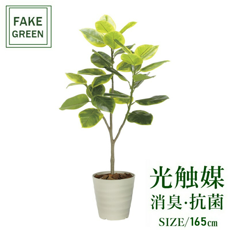 フェイクグリーン 観葉植物 フェイク 人工観葉植物 光触媒 造花 インテリア リアル おしゃれ お祝い 樹 木 室内 人気 空気清浄 玄関 リビング オフィス 部屋 シンプル 抗菌 消臭 観葉樹 フレッシュアルテシマ 1.65m 2333a350｜造花の専門店 きつつき