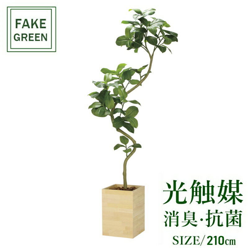 光触媒 人工観葉植物 ウォールグリーン フェイクグリーン アルテシマ