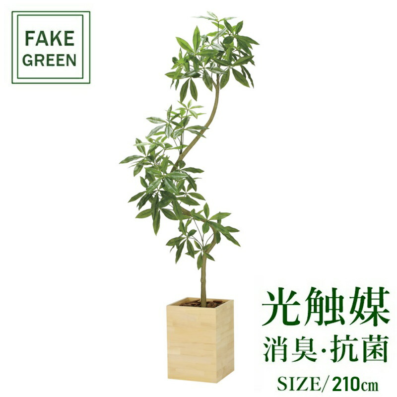 フェイクグリーン 観葉草木 まがい物 人工観葉草木  光触媒 造花 室内装飾 写実的 今めかしい 祝賀会 樹 木 室内  一般受け 空気の状態汚れのない 部屋の入り口 リビング 事務室 お座敷 分かりやすい 抗菌 消臭 観葉樹 ウッドボックスパキラ2.1m (精神的な統合式) 2304a980