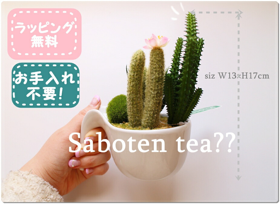 **カフェ気分多肉寄せ植えポット**フェイクグリーン2200円ナチュラルテイスト多肉アレンジメント人工観葉植物お手入れ不要水遣り不要ラッピング無料13cm一人暮らしお洒落インテリアグリーン店長お勧め!陶器明日楽不可メッセージカード無料