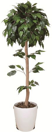 フェイクグリーン 観葉植物 フェイク 人工観葉植物 光触媒 造花 インテリア リアル おしゃれ お祝い 樹 木 室内 人気 空気清浄 玄関 リビング オフィス 部屋 シンプル 抗菌 消臭 観葉樹 ベンジャミントピアリー1.2ｍ｜造花の専門店 きつつき